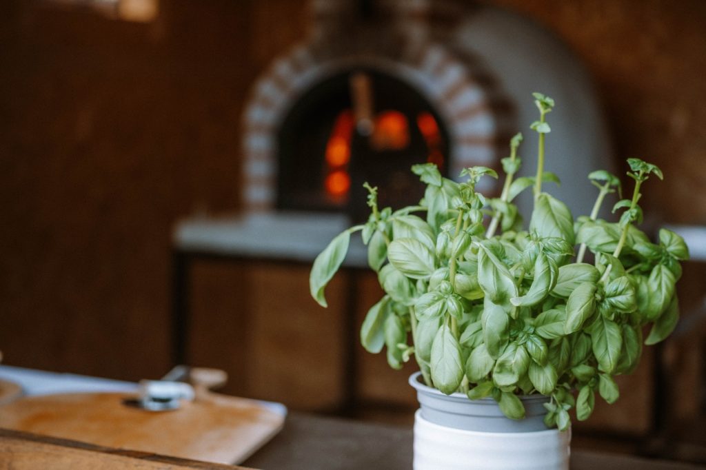 a vase filled with basil sitting on a table